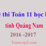 Đề thi Toán 11 học kì 1 tỉnh Quảng Nam 2016 -2017