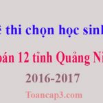 Đề thi chọn học sinh giỏi Toán 12 tỉnh Quảng Ninh 2016-2017