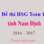 Đề thi chọn học sinh giỏi môn Toán 12 tỉnh Nam Định 2016 – 2017